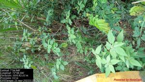 Apto en centro paipa