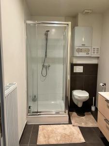 Hyppolite Metdepenningenstraat G