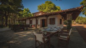 Squirrel Beach Front Villa, Metamorfosi