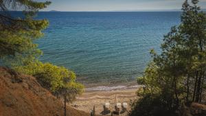 Squirrel Beach Front Villa, Metamorfosi