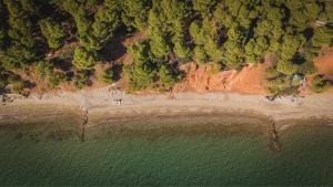 Squirrel Beach Front Villa, Metamorfosi