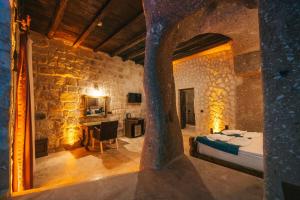Cappatria Cave House