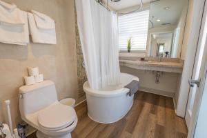 Amazing 1 Bedroom with Rooftop Pool D309