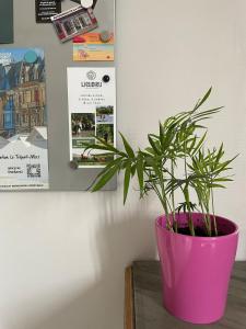 Maisons de vacances Villa Volclair Spacieux Duplex a 50m de la plage : photos des chambres