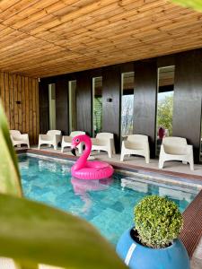 Maisons de vacances La Corniche, Villa d-architecte avec piscine, 2mn mer a Houlgate : photos des chambres