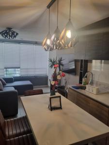 Beautiful apartment in Santiago de Chile