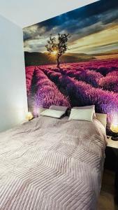 Luniversal Provençal au coeur de Mulhouse