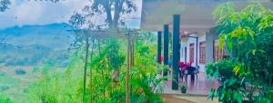 Blue mountain view resort