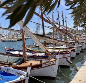 Appartements Le Semillon : photos des chambres