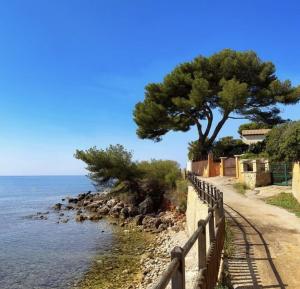 Appartements Le Semillon : photos des chambres