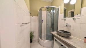 Flat in Zizkov -104-