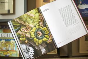 Il Rifugio dei Lettori con Terrazza img28