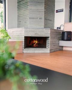 Cottonwood Yaputa Heated-Onsen Netflix Api-Unggun Karaoke PS4