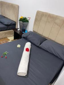 Giza pyramids Star Inn