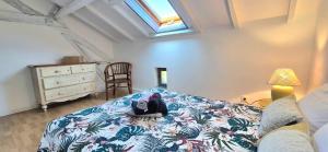 Maisons de vacances Gite Le Tuquet Ideal Stay in Purple Perigord Nature & Tranquility : photos des chambres