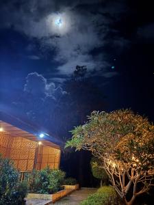 Cecilias Garden Guesthouse