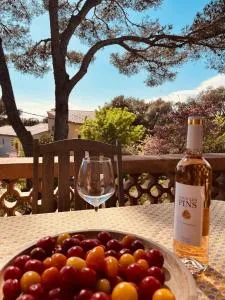 Appartement Avec Terrasse, Mer - Agay - Saint Raphael