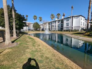 The Mid-Century Modern