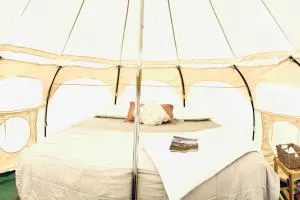 RiverFront Yurt Glamping No Fees 14 - Nathrop