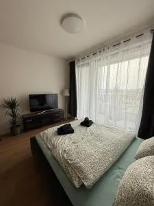 Cozy apartment in downtown - Brenner