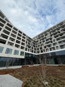 Cozy apartment in downtown