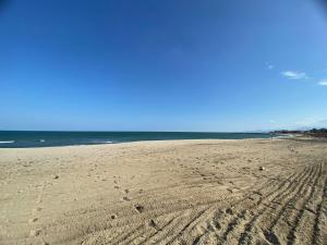 Appartements Sainte Marie appartement 4 Pers a quelques pas de la plage : photos des chambres