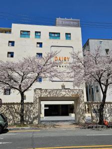 Daisy hotel
