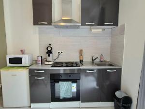 Appartements Verdant Oasis - proche du centre - Wifi gratuit - parking a proximite : photos des chambres