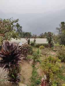 Kousani Naranga Farmstay-Kagey