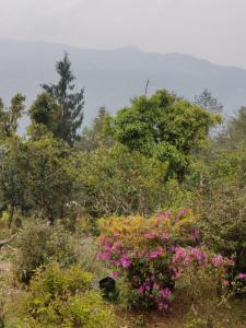 Kousani Naranga Farmstay-Kagey