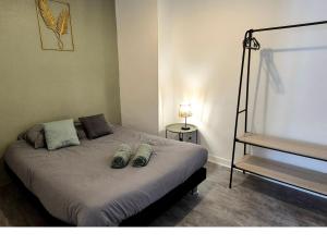 Appartements Verdant Oasis - proche du centre - Wifi gratuit - parking a proximite : Appartement 1 Chambre