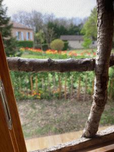 Cabane insolite entre Albi et Cordes-sur-ciel