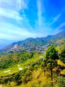 ZenRoofs- Cloud Haven 2BHK Villa