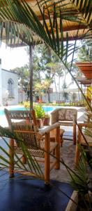 Punto Sur Lodge - Chincha