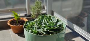 Sierra Suites en el corazón de Salta para 2