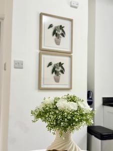 Waves & Wine - Your Beach Escape!