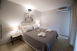 Regalo Apartments Lefkada Greece