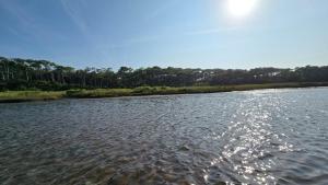 Villa Canopy entre pins et plage