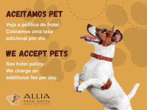 Allia Gran Pampulha Suites