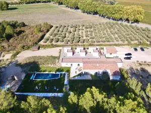 Villa Noyau & Pépin - 罗尼