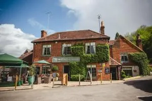 The Stag on the River - 锡尔