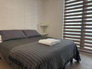 Edificio Claro Solar - Moderno Apartamento Centro Temuco