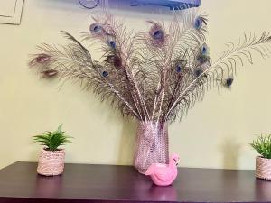 Anatoli deluxe house