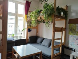 Evergreen Hostel Krakow