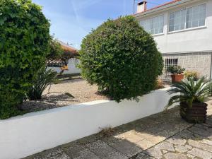 Cascais, T2 with great garden in Estoril, Livramento