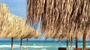 Apartamente la mare-zona Lidl Mamaia Nord - Năvodari