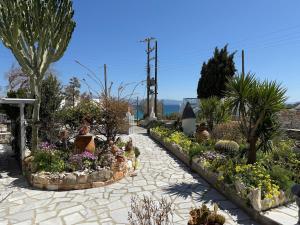 STAVROS STUDIOS