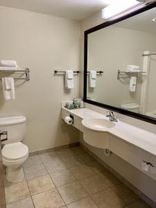 Standard Single Room room in GrandStay Hotel & Suites Becker