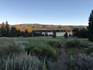 Cozy Big Bear cabin for couples Hot tub,deck,pets,WiFi