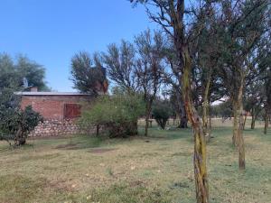 Panaholma resort Cabañas de montaña